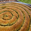 Famous Gaziantep Koçak Burmese Kadayif - Traditional Turkish Dessert - Premium Pistachios - Exporgin - Global Shopping Site